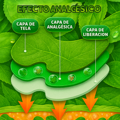 PARCHE ARTICULACIONES RODILLA OFERTA 30 X 1 MEGA PROMOCIÓN